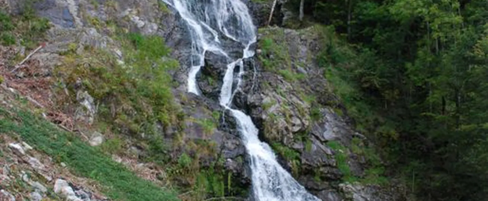 Camping Hochschwarzwald