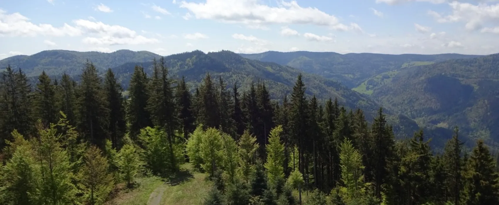 Camping Hochschwarzwald