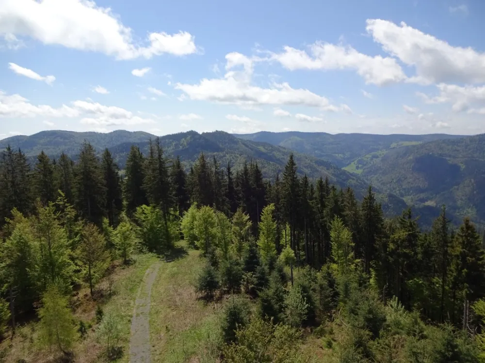 Camping Hochschwarzwald