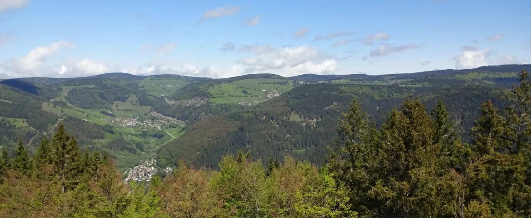 Camping Hochschwarzwald