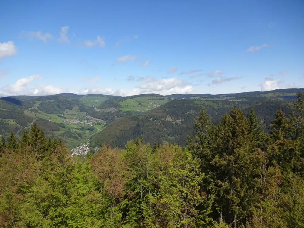 Camping Hochschwarzwald