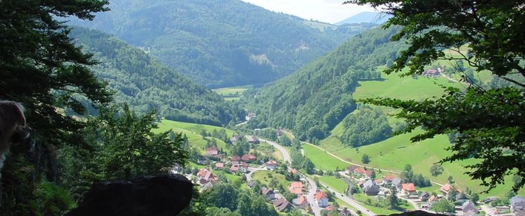 Camping Hochschwarzwald