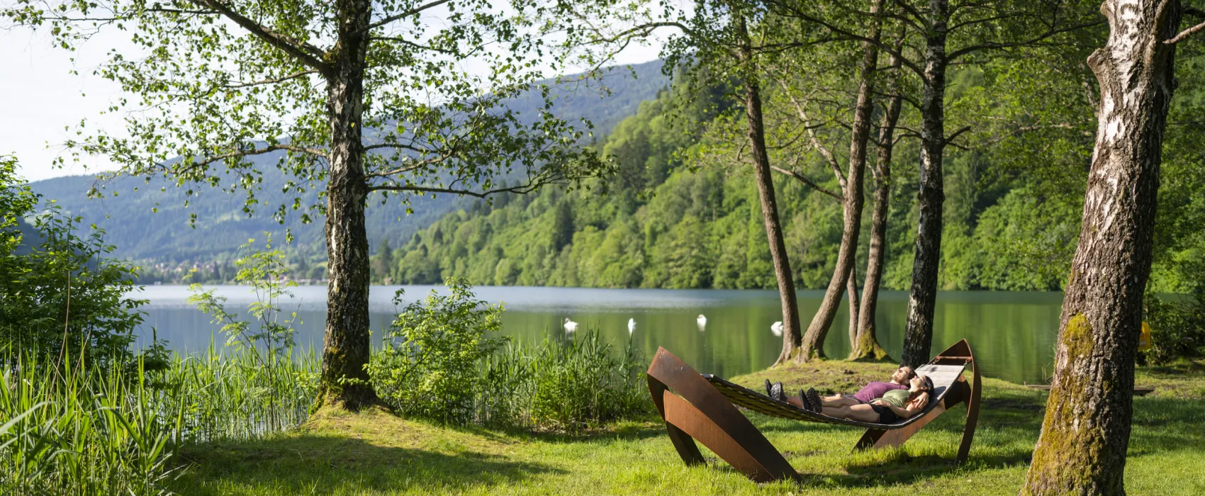 Hotel-Restaurant-Camping Fischerhof Glinzner