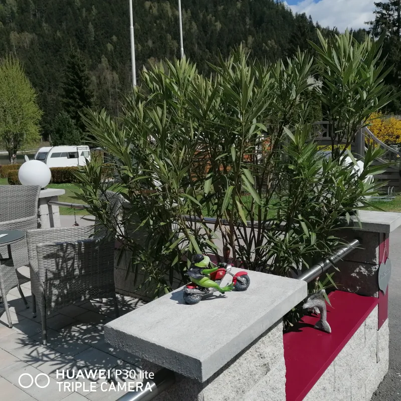 Hotel-Restaurant-Camping Fischerhof Glinzner