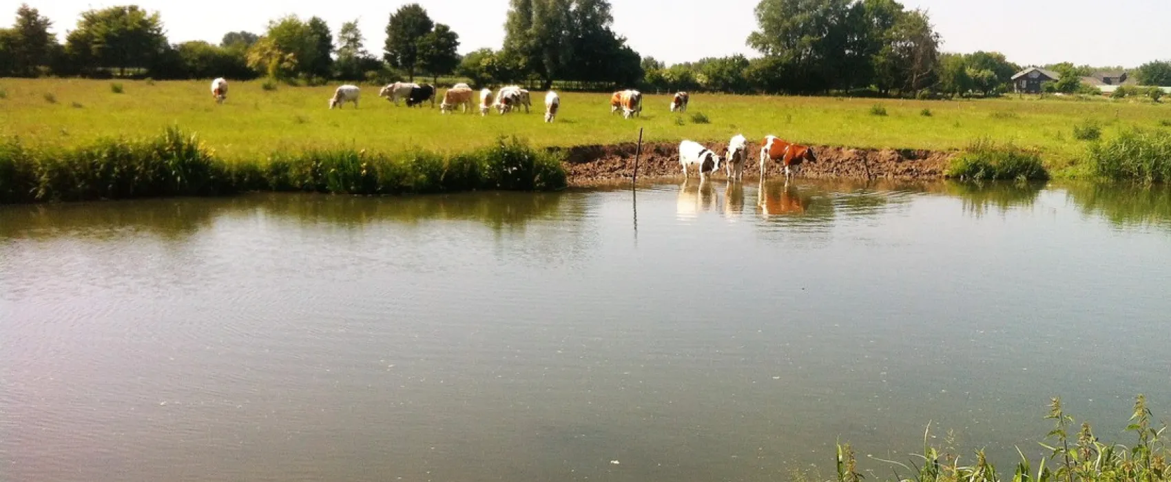 Camping Aan De Linge