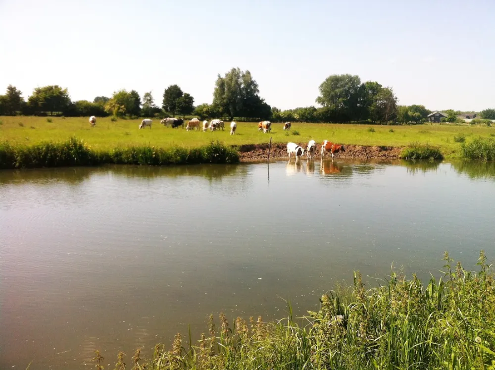 Camping Aan De Linge