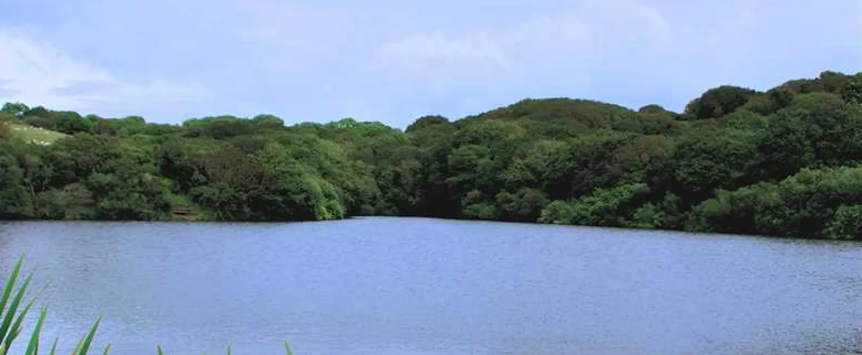 Shear Barn Holidays and Touring