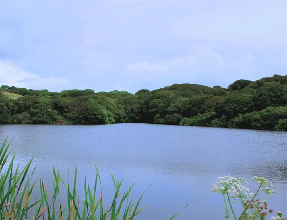 Shear Barn Holidays and Touring