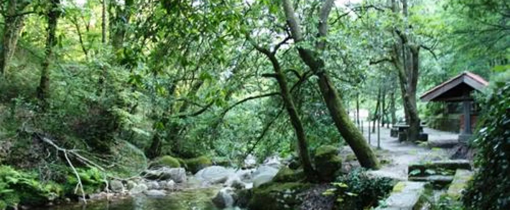 Parque de Campismo do Vidoeiro