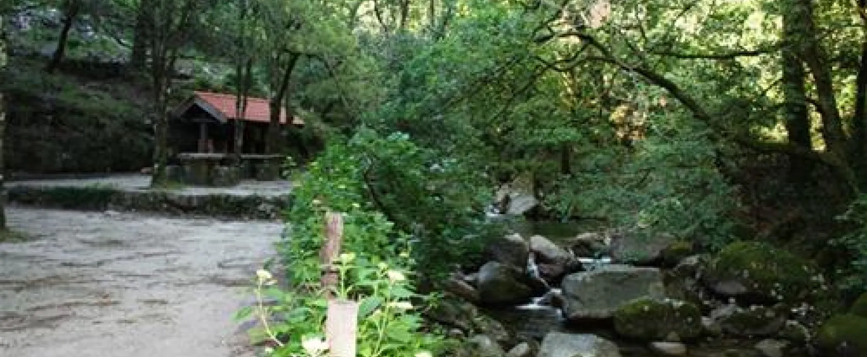 Parque de Campismo do Vidoeiro