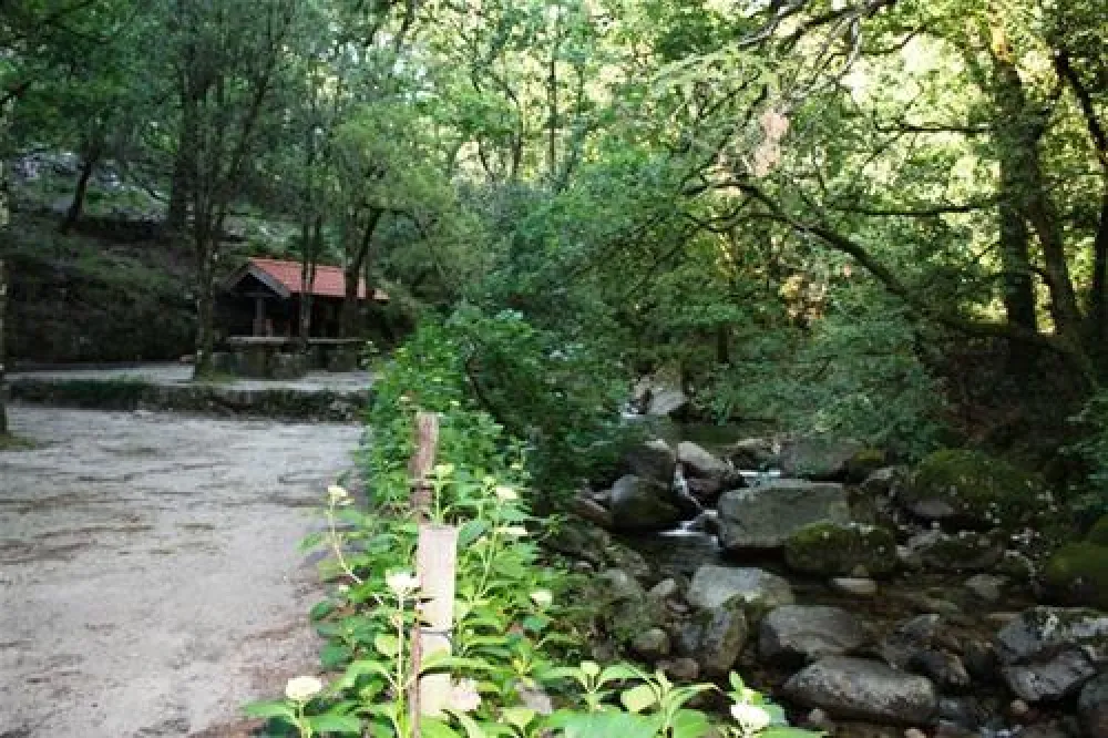 Parque de Campismo do Vidoeiro
