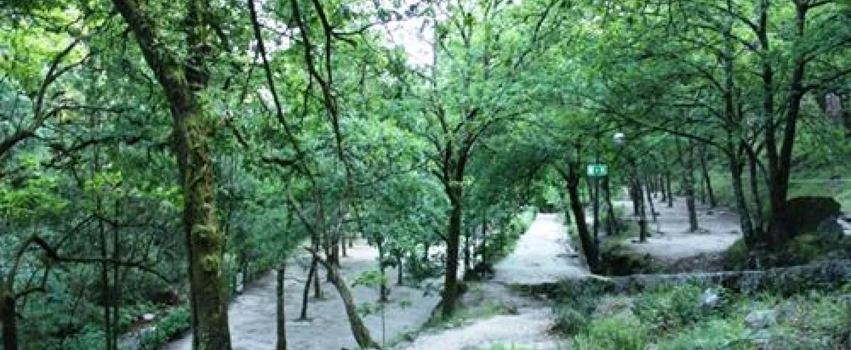 Parque de Campismo do Vidoeiro