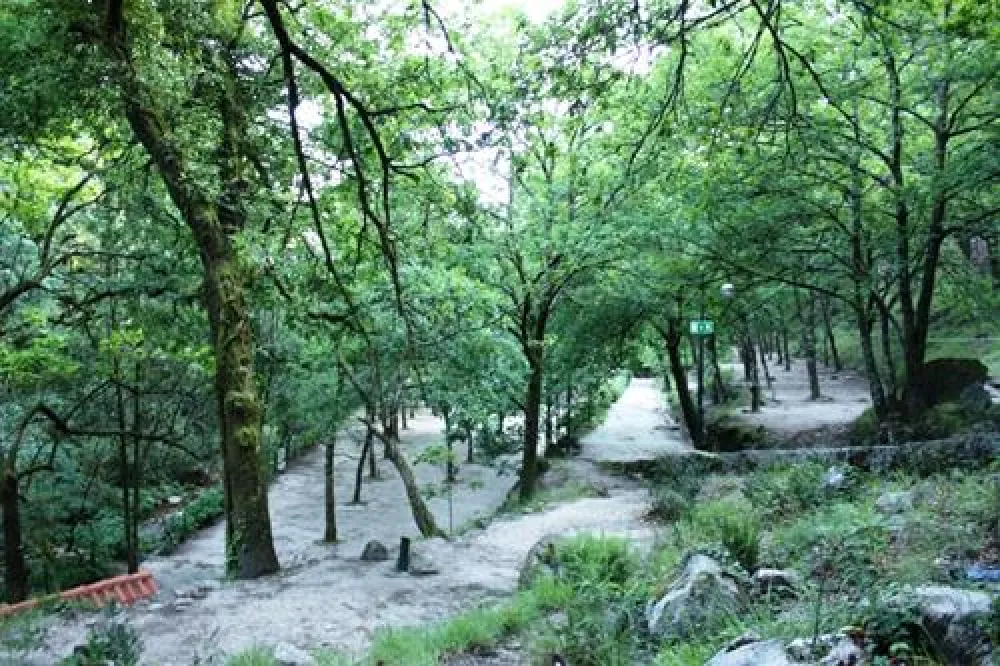 Parque de Campismo do Vidoeiro