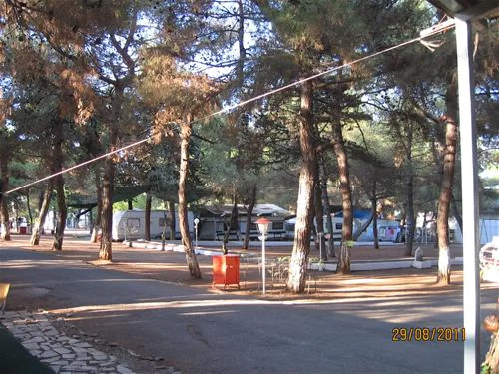 Campsite Olympos Beach