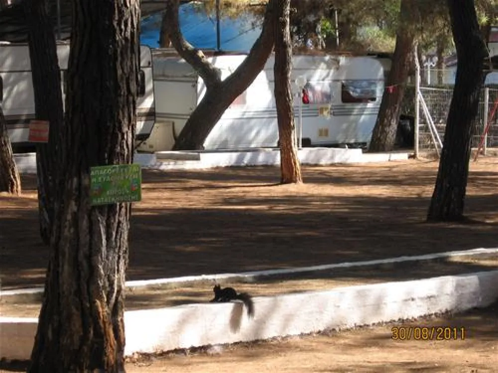 Campsite Olympos Beach