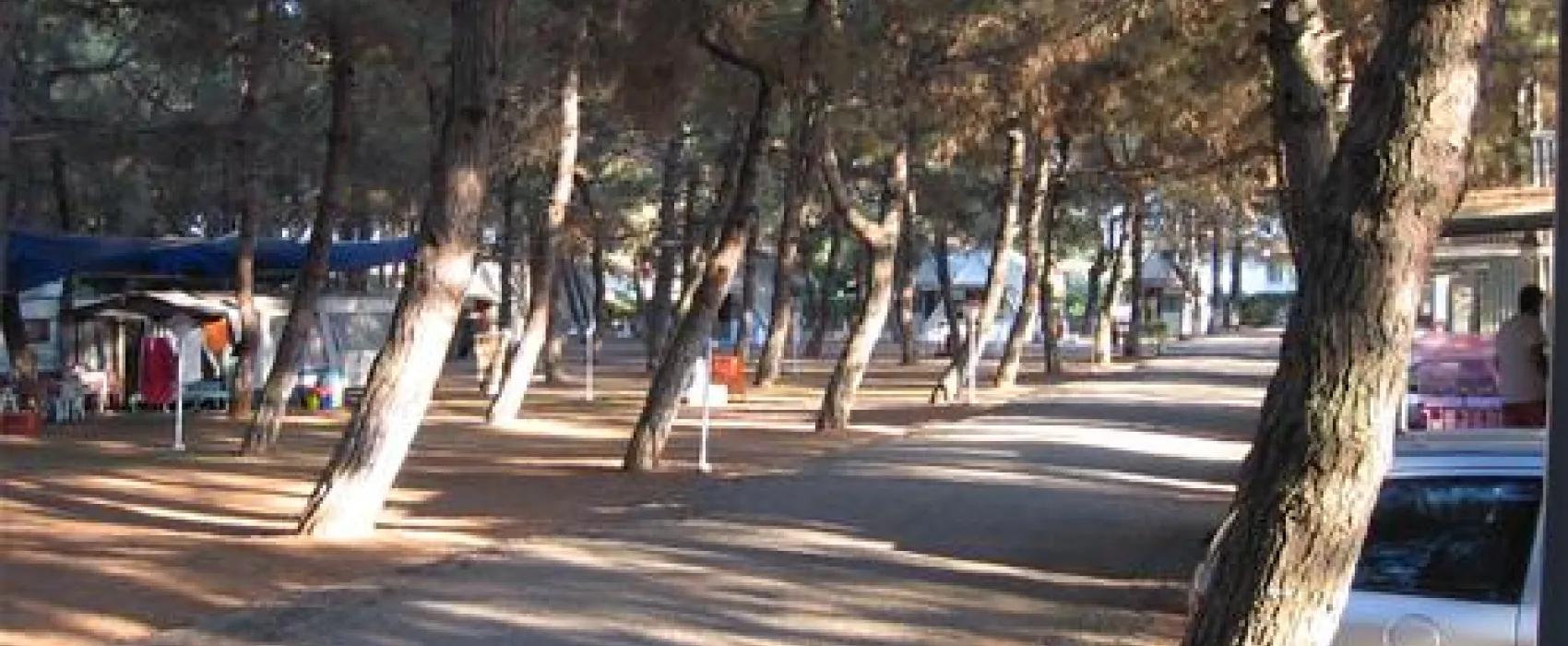 Campsite Olympos Beach