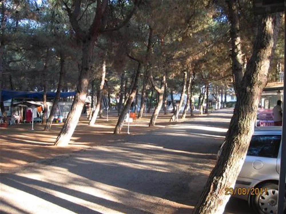 Campsite Olympos Beach