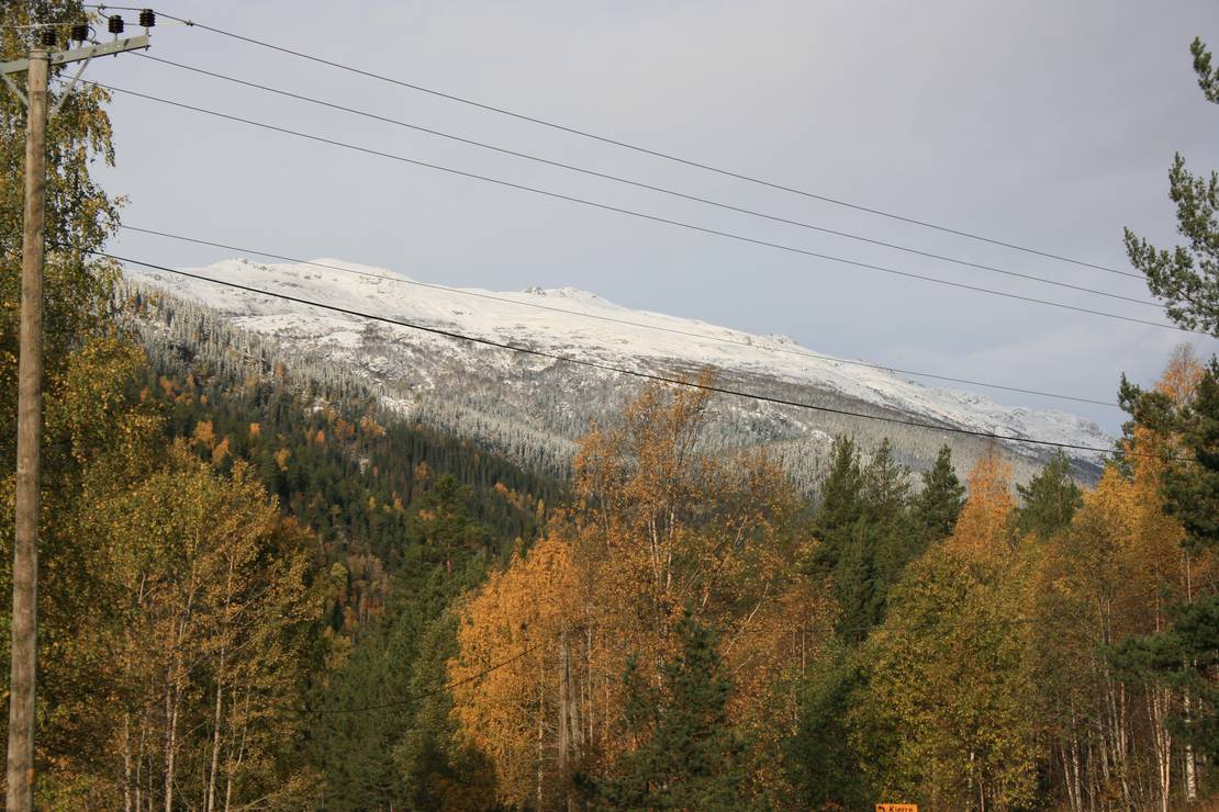 Skahjem Camping photo 3