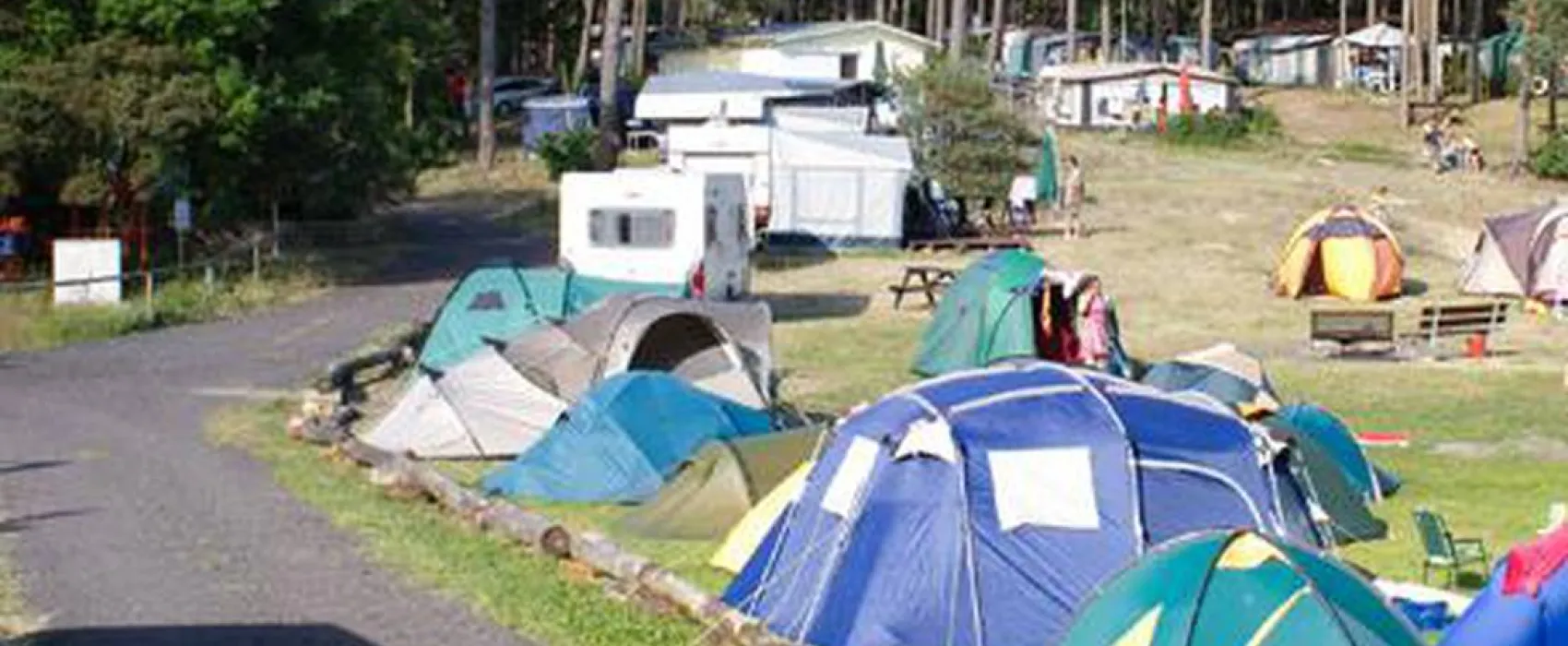 Naturcamp e.V. Röddelin