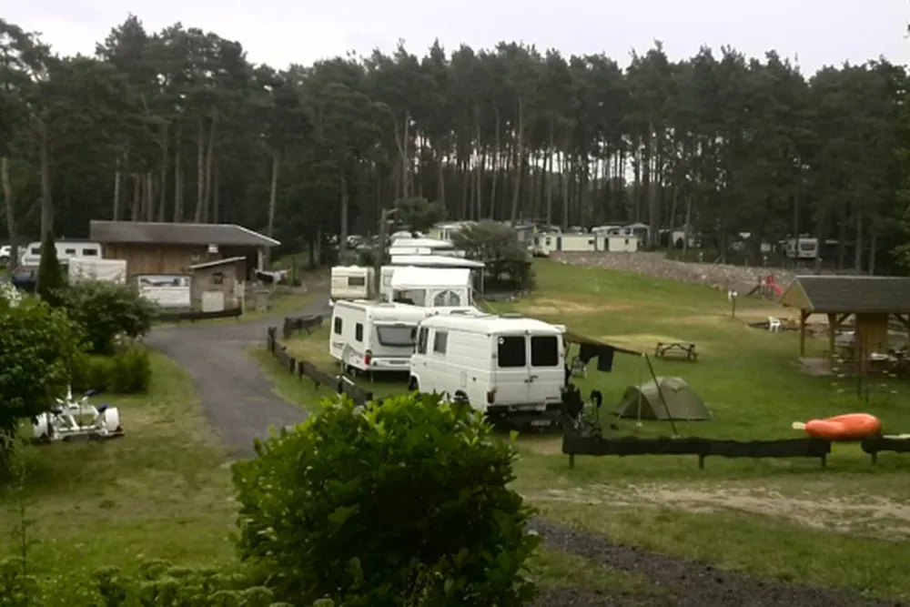 Naturcamp e.V. Röddelin