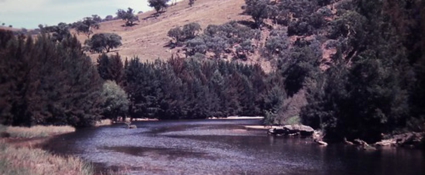 The Junction (Abercrombie River) Campground