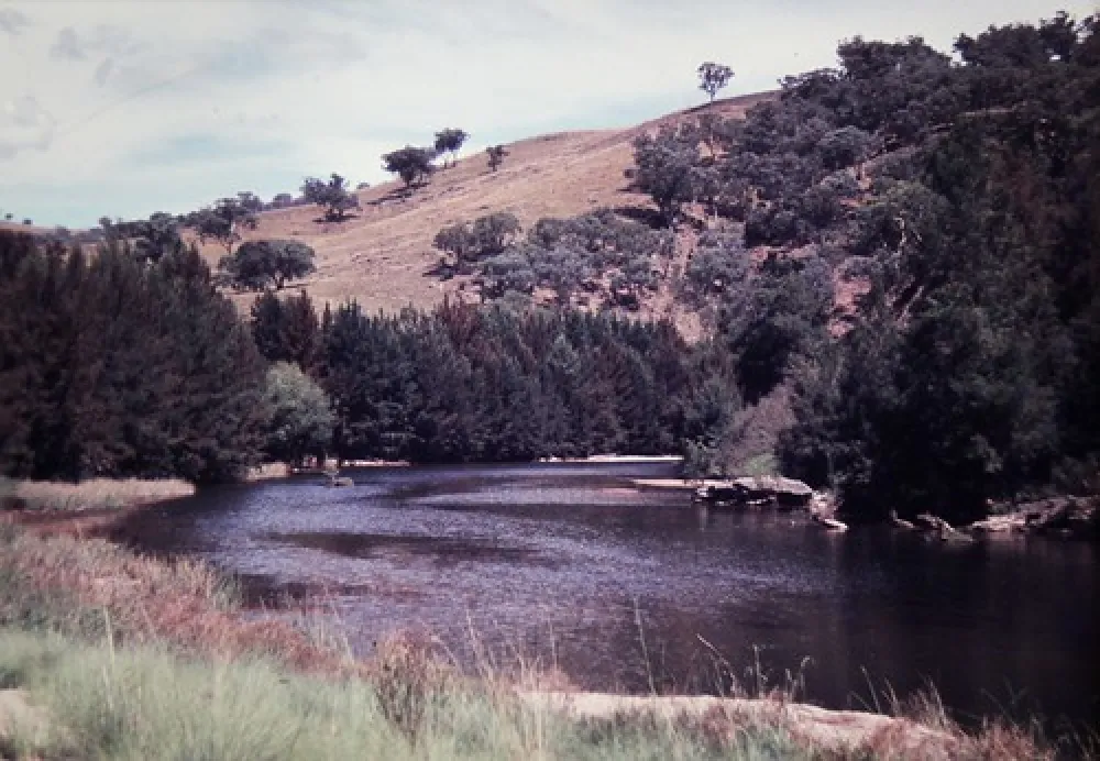 The Junction (Abercrombie River) Campground