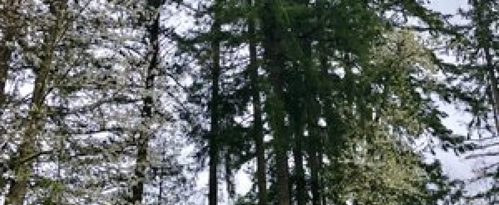 Chehalis RV & Camping Resort