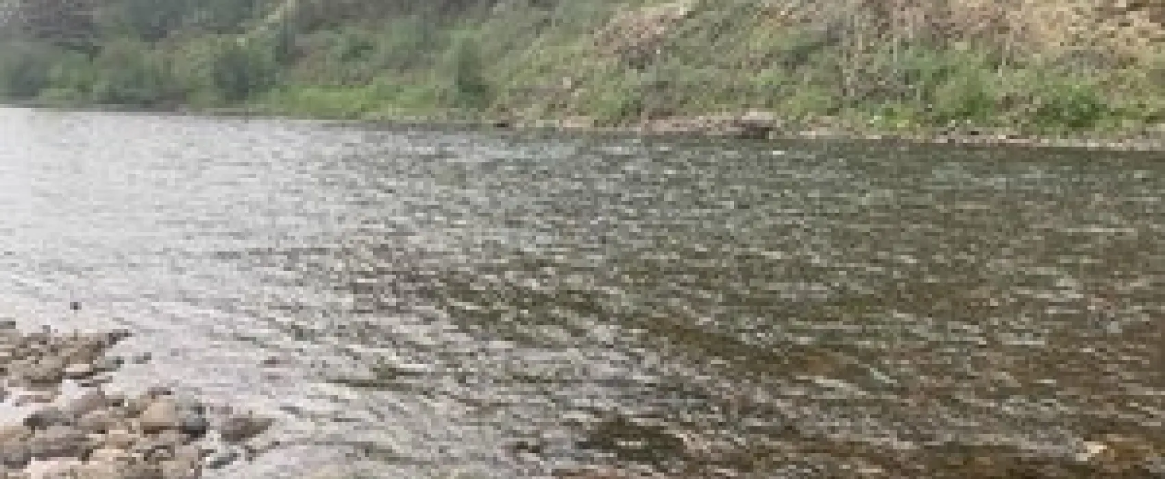 Cottonwood Cove Guest Ranch