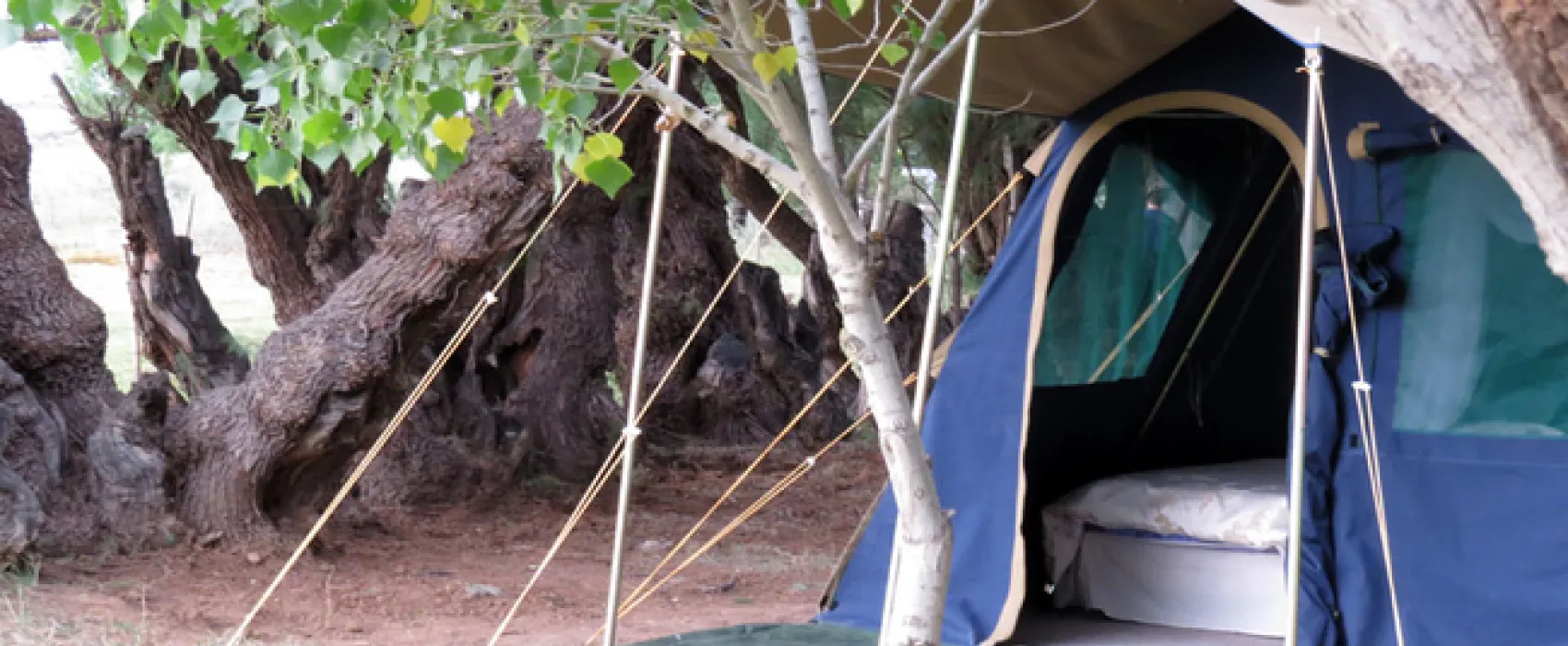 Karoo Gariep Tented Camp