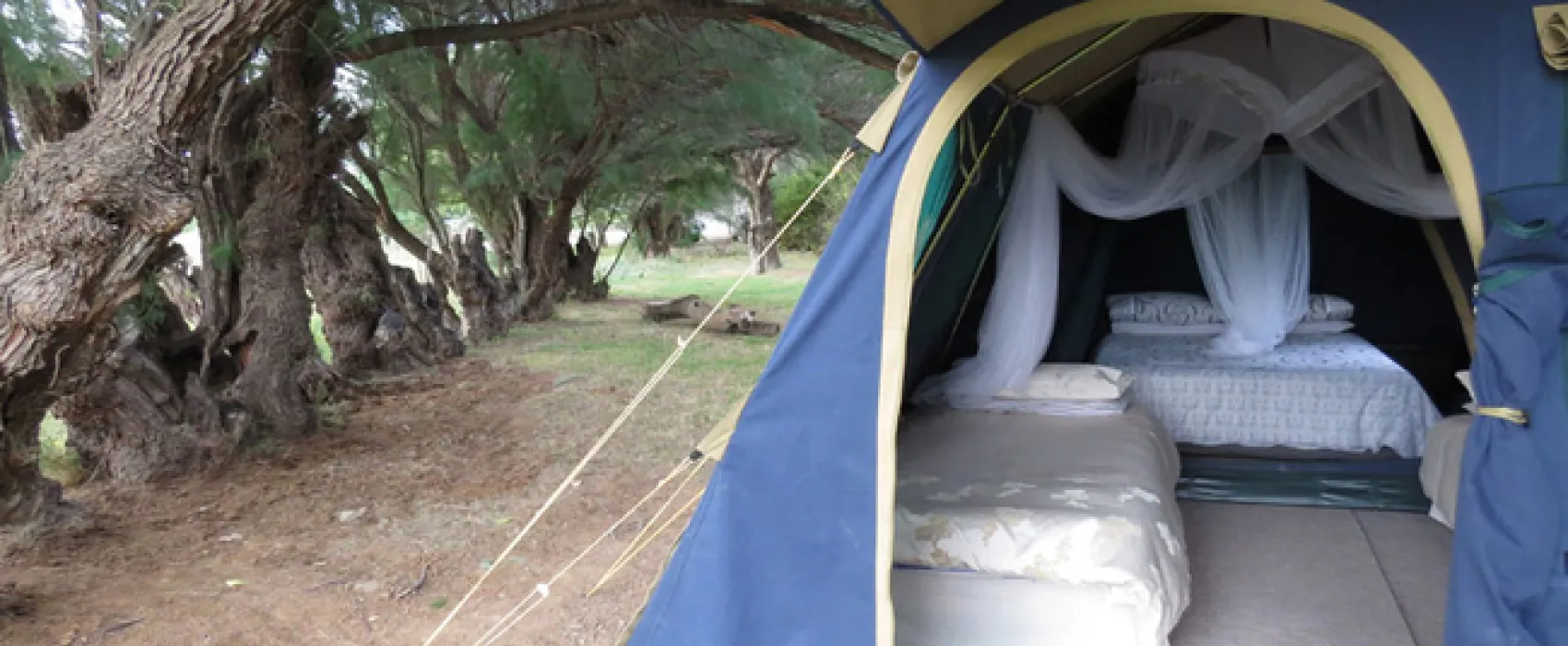 Karoo Gariep Tented Camp