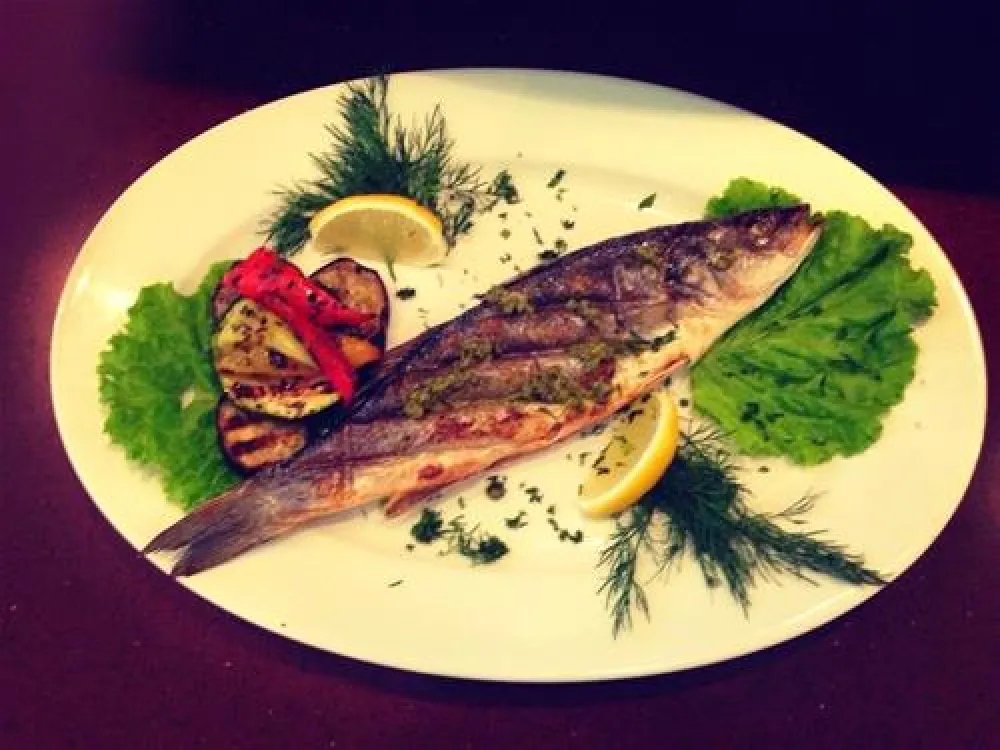 "Baltic PARKing" Camping