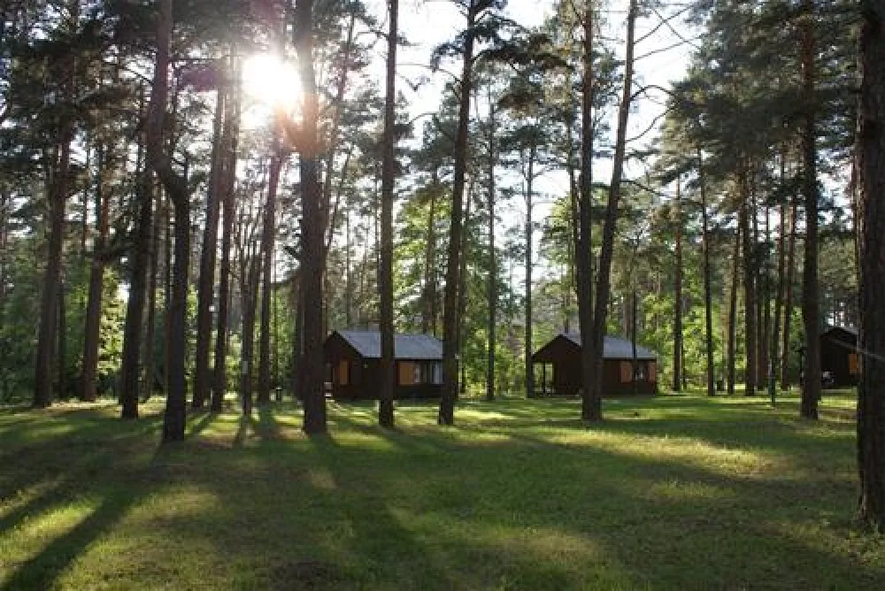 Camping Marina Borki