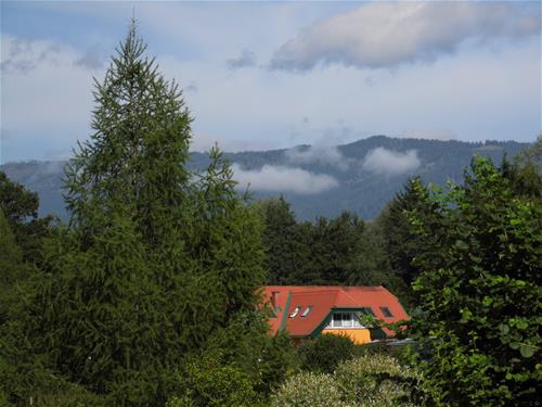 Camping Murinsel photo 5
