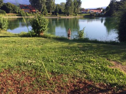 Camping Murinsel photo 4