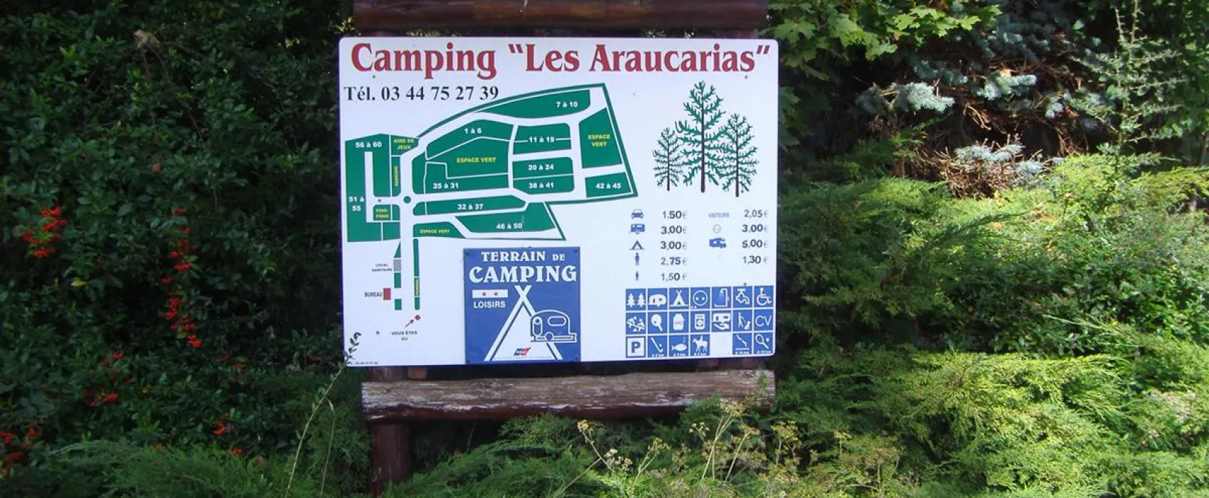 Camping les Araucarias