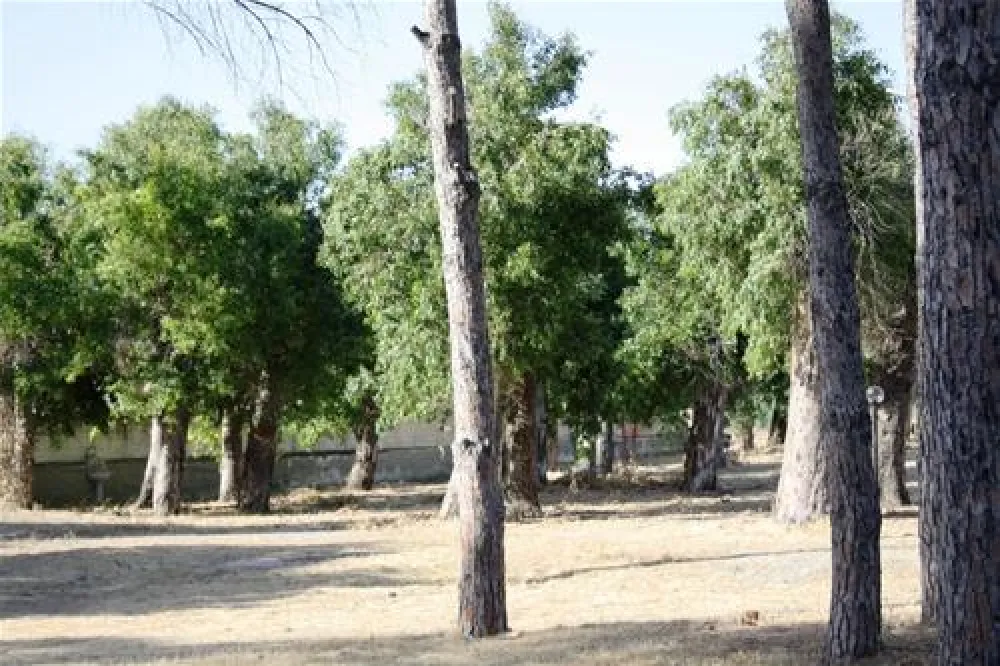 Villaggio Camping Bellino