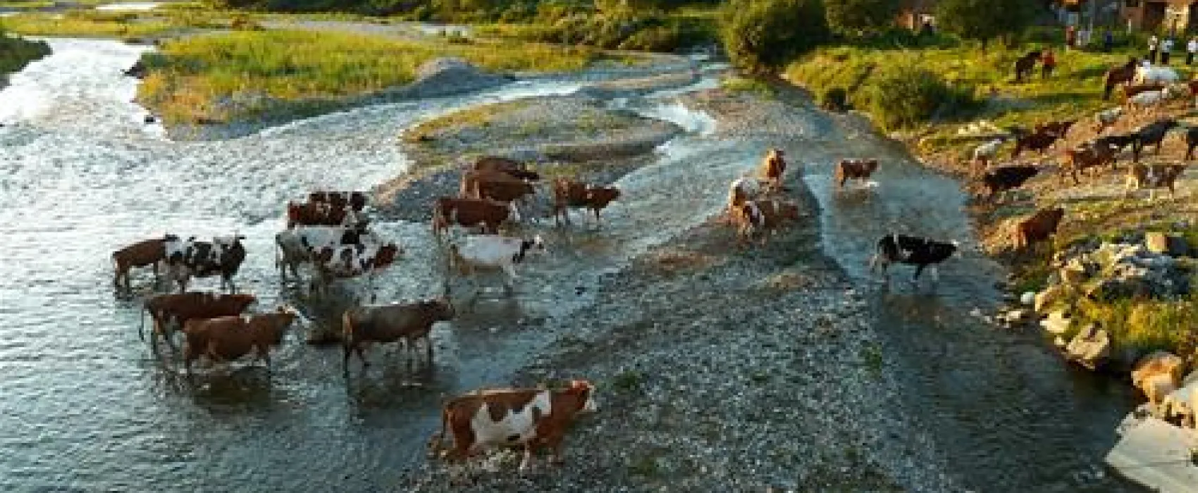 Camping de Oude Wilg