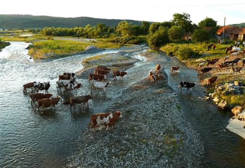 Camping de Oude Wilg