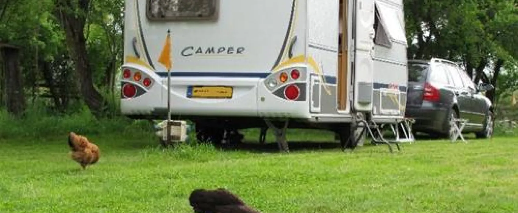 Camping de Oude Wilg