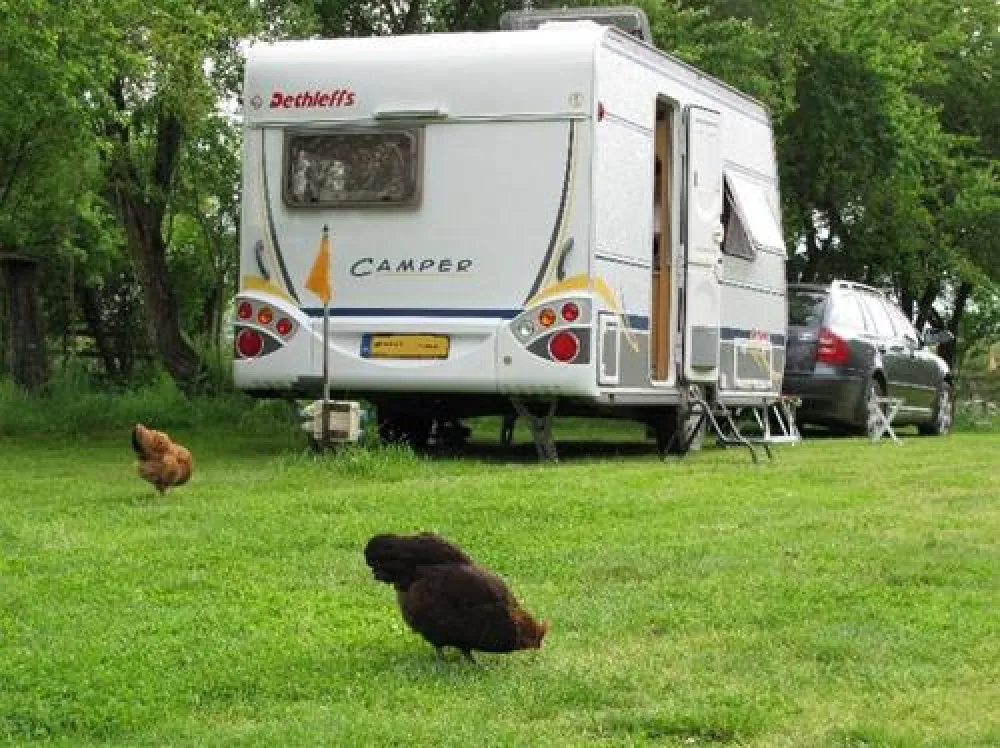 Camping de Oude Wilg