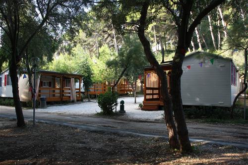 Campeggio Baia Calenella photo 4