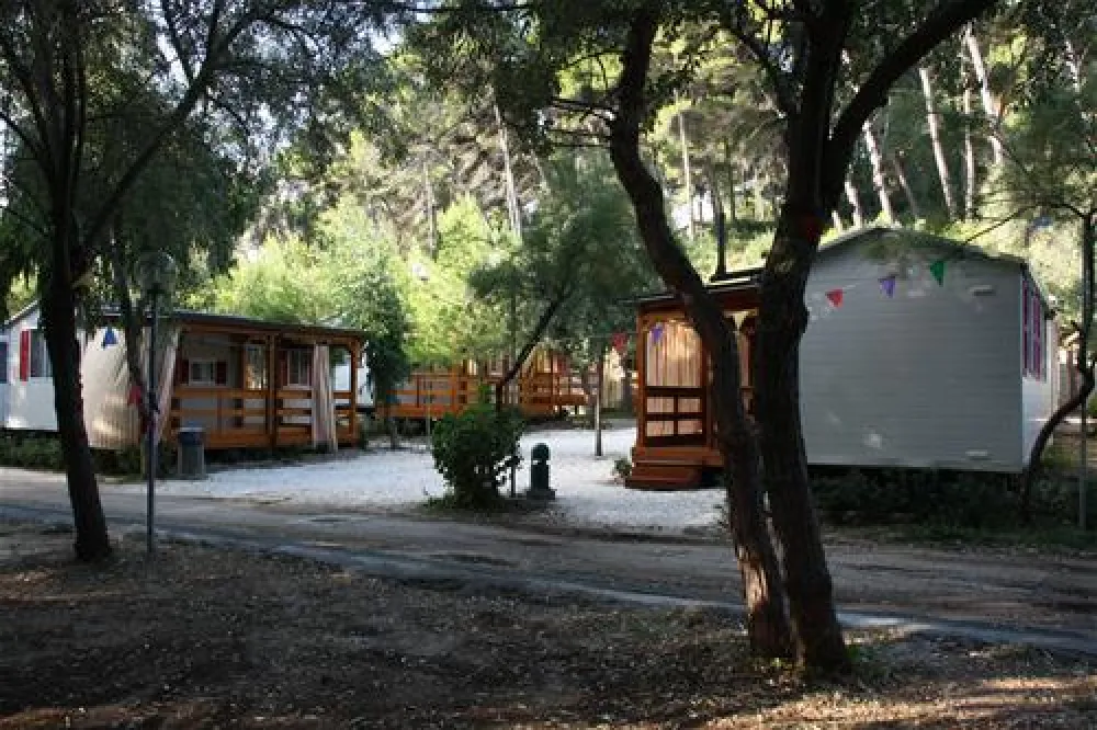 Campeggio Baia Calenella