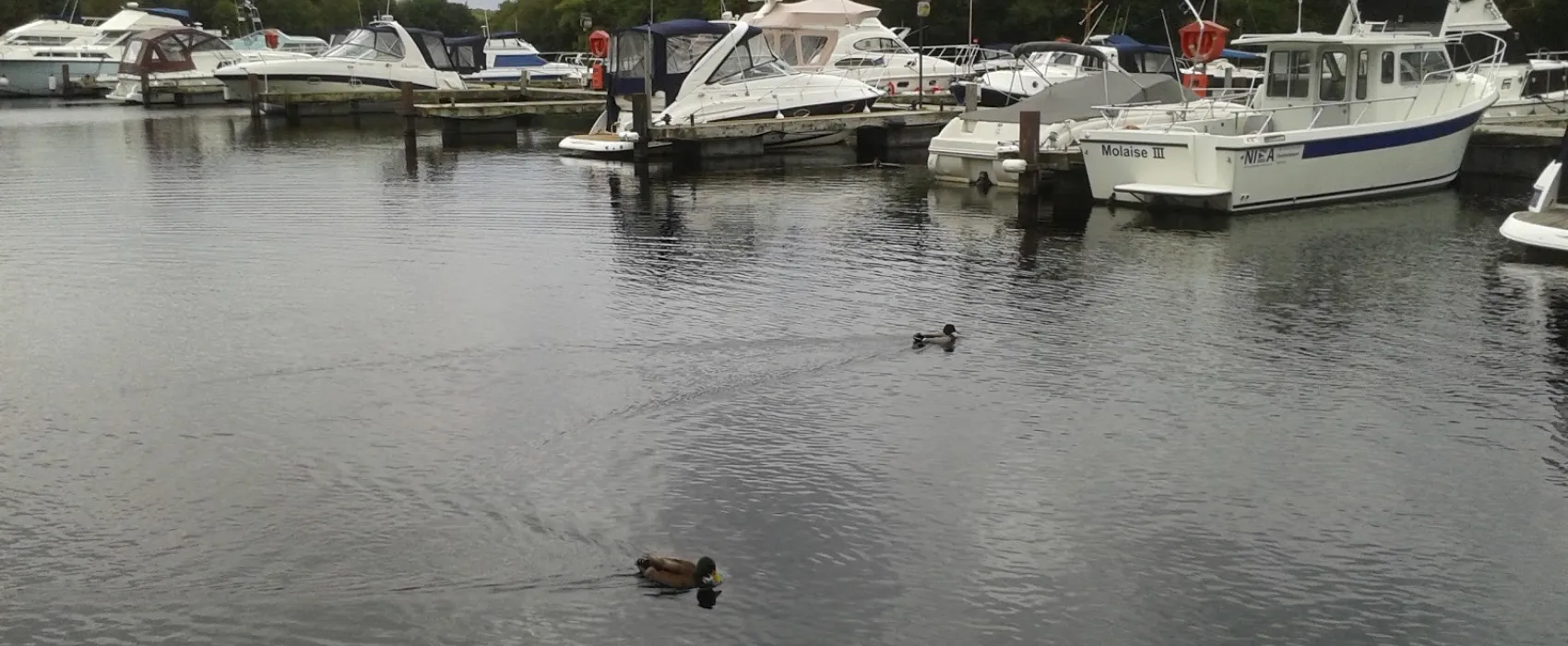 Campsite Castle Archdale