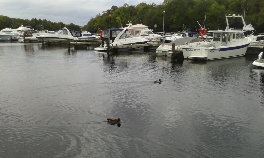 Campsite Castle Archdale