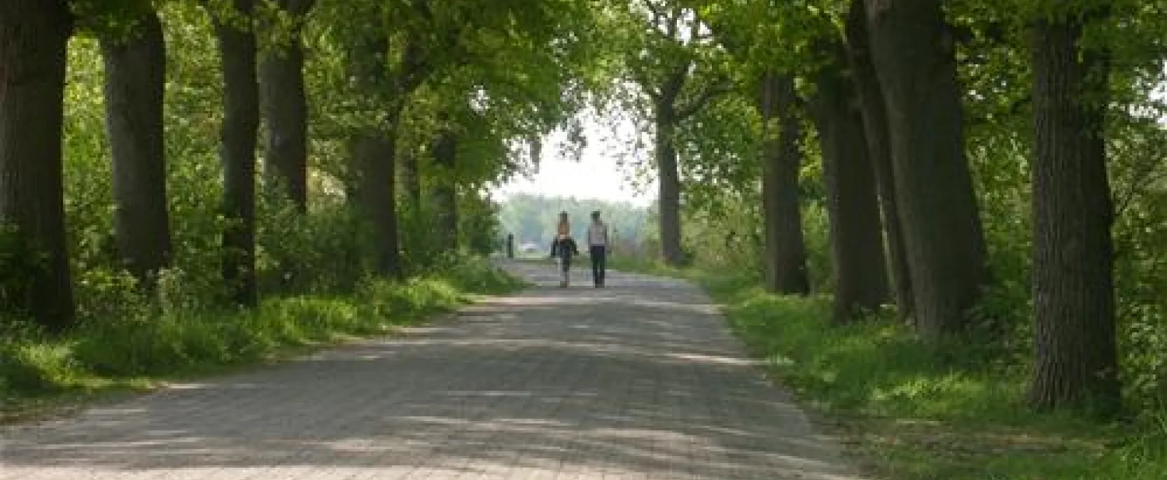 Nordsee Campingplatz Rennweide Dangast