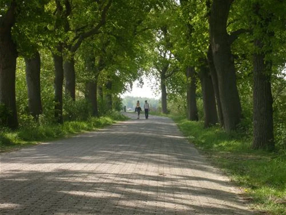 Nordsee Campingplatz Rennweide Dangast