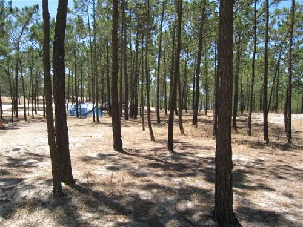 Parque de Campismo da Praia da Galé