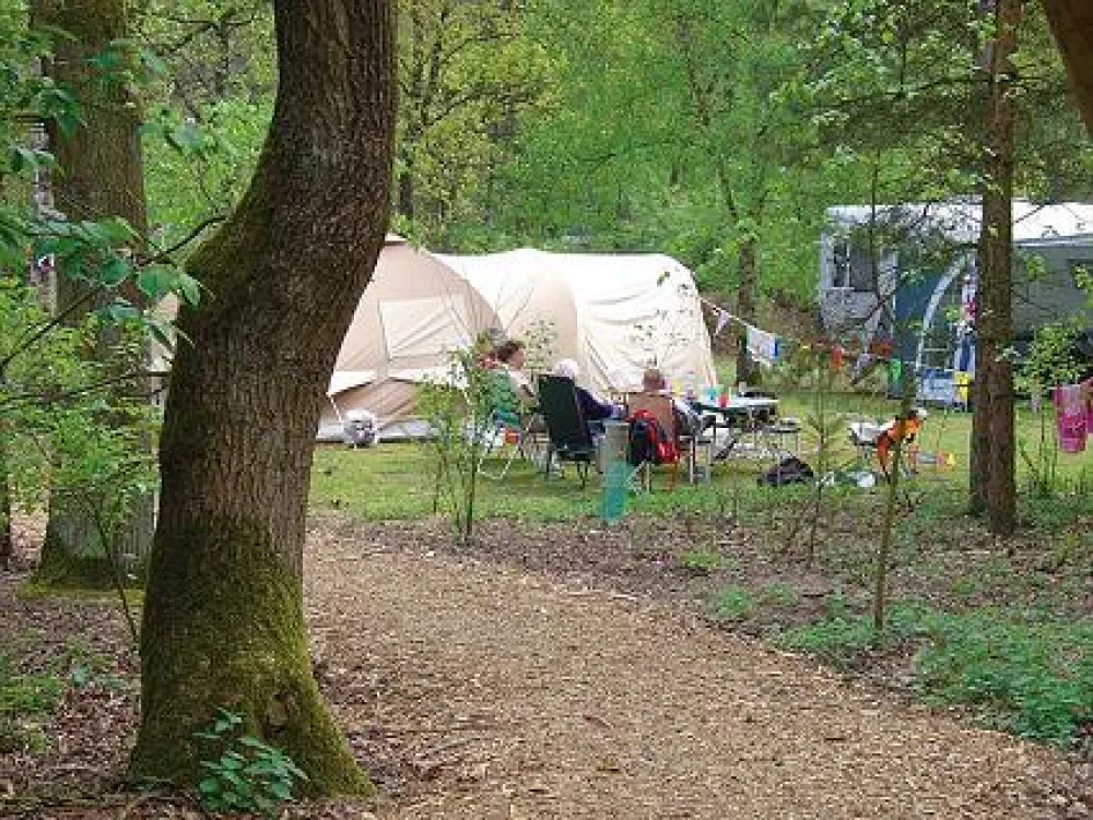 Camping Harskamperdennen