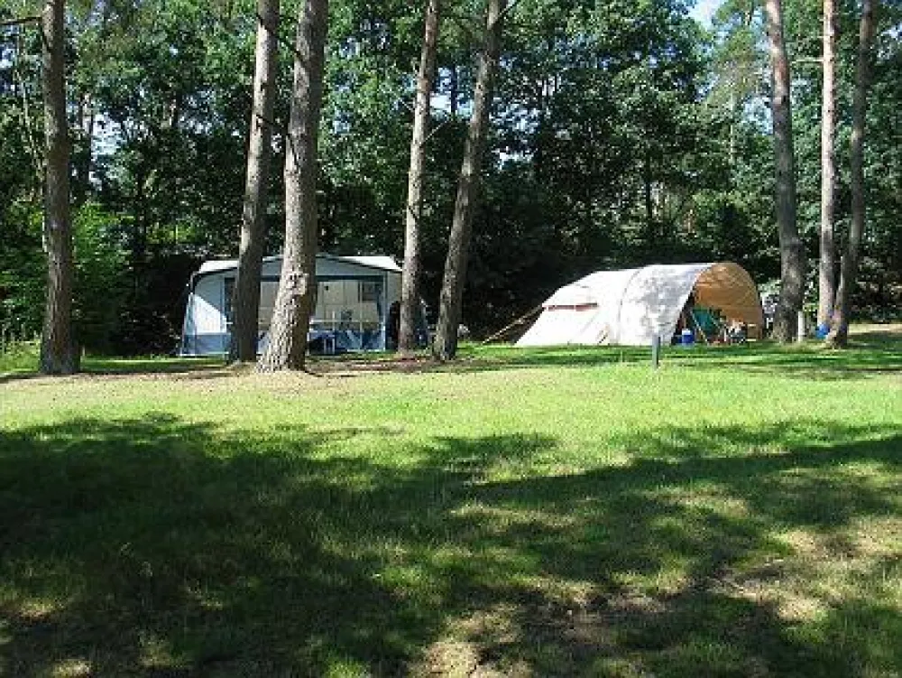 Camping Harskamperdennen