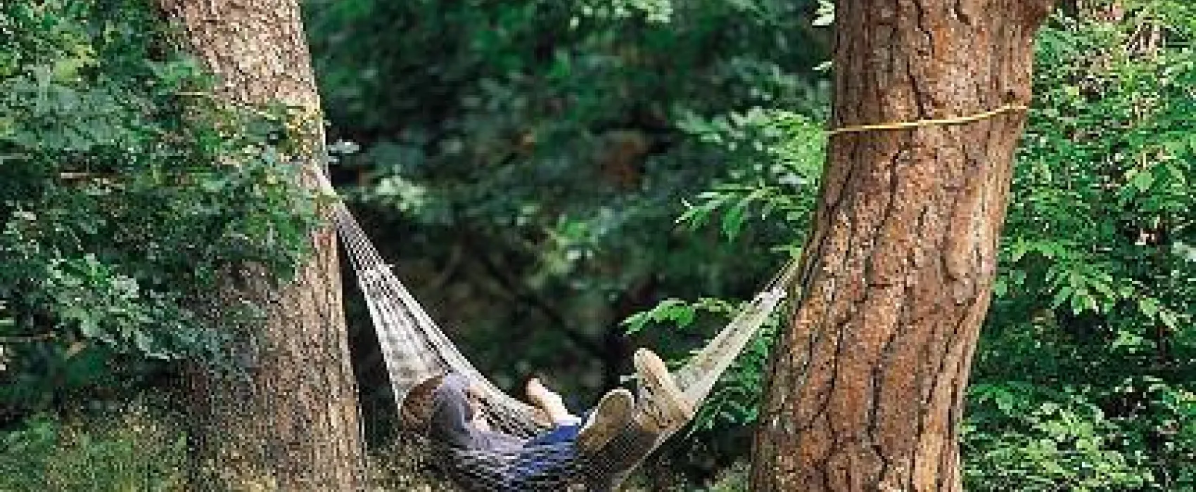 Camping Harskamperdennen